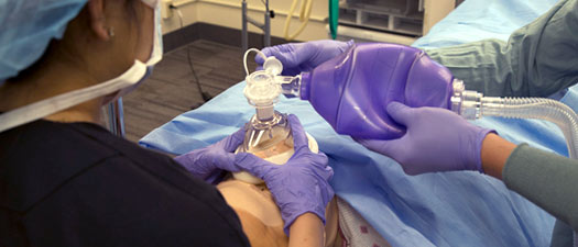 Simulation session, student with airway bag