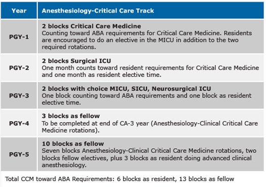 Sample Anethesiology-Critical Care Track Rotation Schdeule